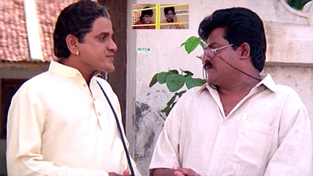 ఈ ముగ్గురి కామెడీ చూస్తే నవ్వి నవ్వి పడిపోతారు 😂 | Ali, Brahmanandam & AVS Ultimate Comedy Blast 🤣