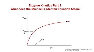 Enzyme Kinetics Part 3:   What does the Michaelis-Menten Equation Mean?