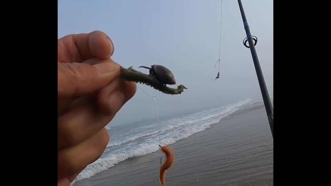 Oregon Surf Perch Fishing Club Aug 17 2022 YouTube