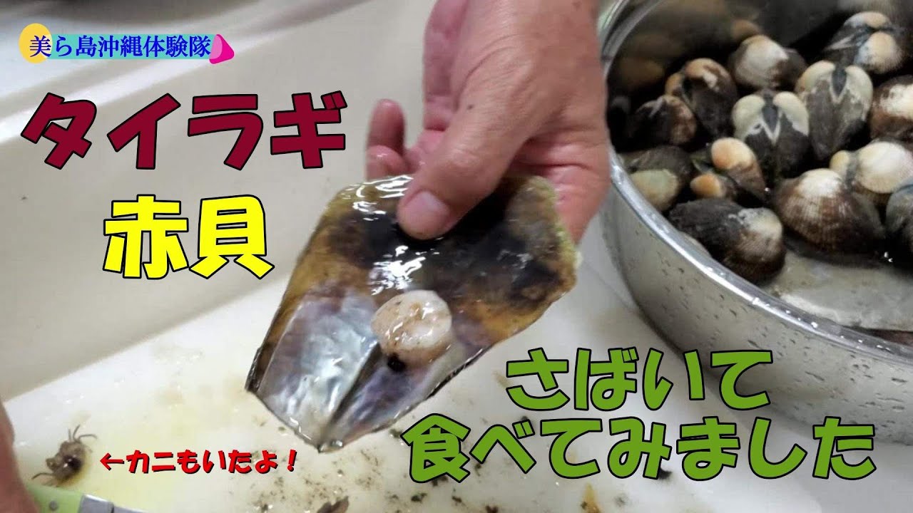 赤貝、タイラギ料理して食べてみました！