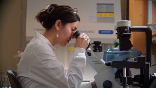 Launch Your Northeastern Master's Degree in Maine
