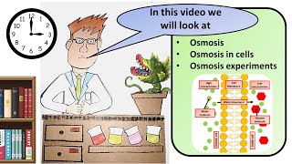 GCSE Biology Osmosis Revision