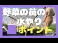 【農業女子】育苗中の水やりポイント！！立派な苗にするには〇〇が大切！
