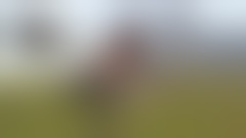 Rust Catapult Update 4