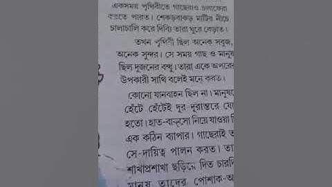 গাছেরা কেন চলাফেরা করে না। তৃতীয় শ্রেণী। Page 62 বাংলা।