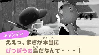 愛のキューピッド、始めました #6【あつまれ どうぶつの森】