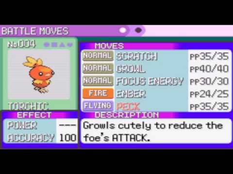 At what level does Torchic evolve?