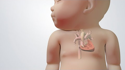 Pediatrics, Paediatrics