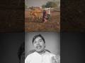किसान ने पत्नी को बनाया बैल! 😢 | Maharashtra Farmer Viral Video | Rural India Reality 2026