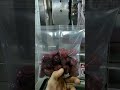 Red dates nut granule candy pouch vertical form fill seal weighing packing machine