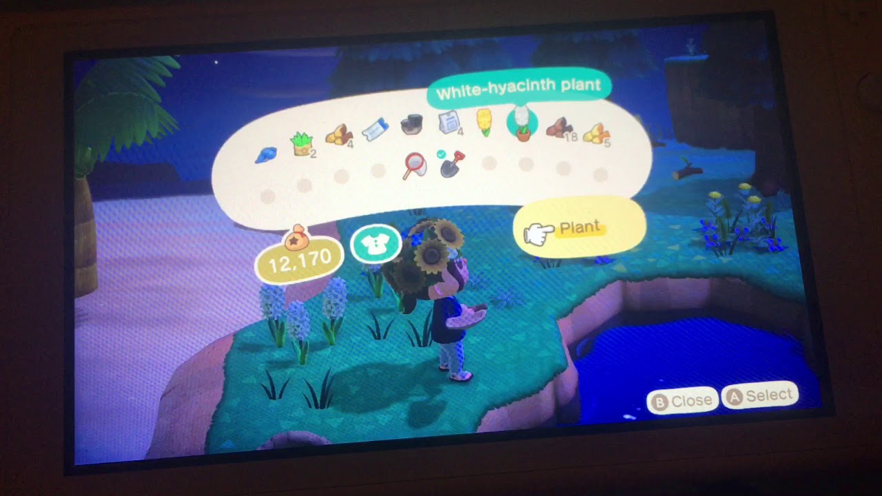 How to plant flowers in Animal crossing without spending any money