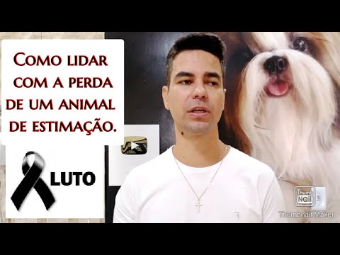 Vídeo: Como Punir Um Animal De Estimação