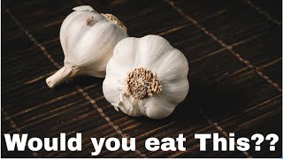 (This is why) you should eat Garlic Every Day!