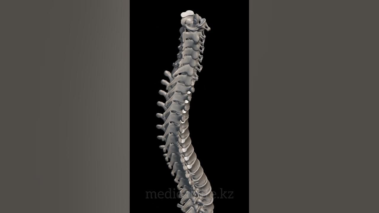 Сперматозоидпен жабылған пайдаланылған іш киімді сату Веб-камерадағы ұялшақ қыздар