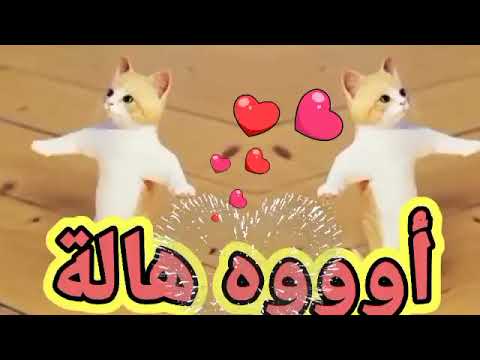 اغنية هالة القمر اغنية باسم هاله هالة السعودية الكويت ابوظبي تركيا العراق قطر لبحرين لجزائر دبي جده