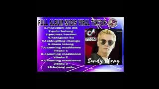 LAGU VIRAL TIKTOK FULL ALBUM SANDYCHENG  #tiktokviral #trending #trending #fyp #fypyoutube #fypシ゚