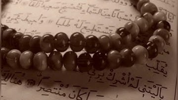 سورة المزمل _ محمود عبد الحكم