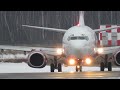 А и Б,  самолеты A-319 Cyprus + Boeing 737-700 SpiceXpress, Домодедово 17.12.20.