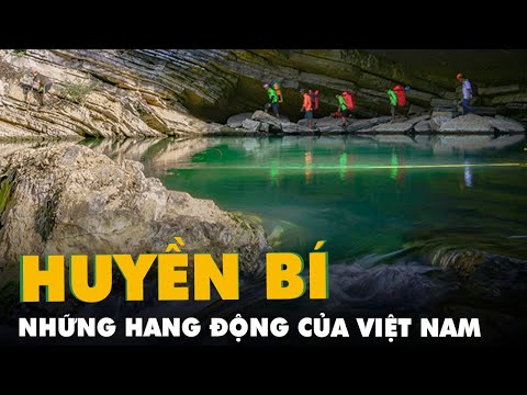 Video: Tổ Và Hang động