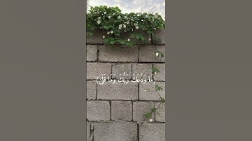 سورة الضحى || القارئ الشيخ الوليد الشمسان #الوليد_الشمسان #تلاوات_الحَرَم