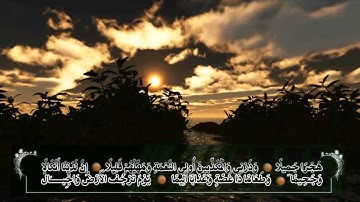 الشيخ محمد أسامة - سورة المزمل (رمضان 1426 هـ)