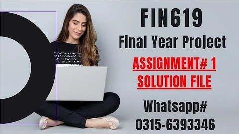 FIN619 Assignment 1 solution #fin619