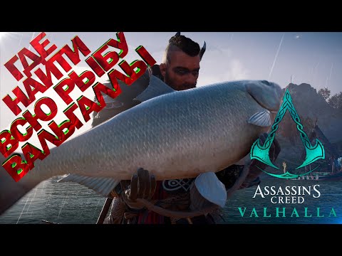 Где поймать крупную рыбу в Assassin's Creed Вальгалла! Часть 2