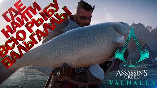 Где поймать крупную рыбу в Assassin's Creed Вальгалла! Часть 2