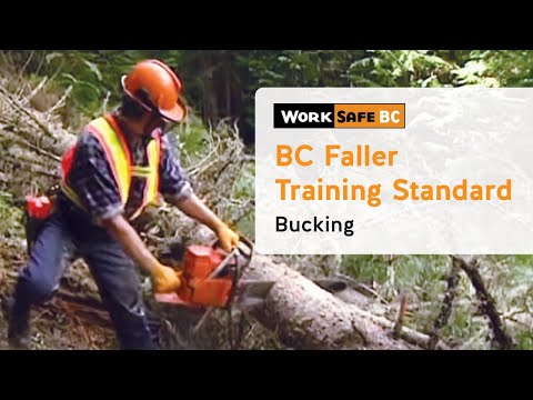 BC Faller Training Standard - Bucking (17 of 17)