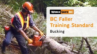 BC Faller Training Standard  Bucking (17 of 17)