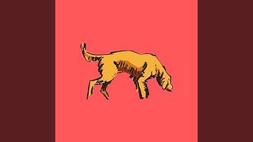 Fabulous Backdrops for Favorite Pup