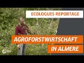 Agroforstwirtschaft in Almere | Ecologues Reportage