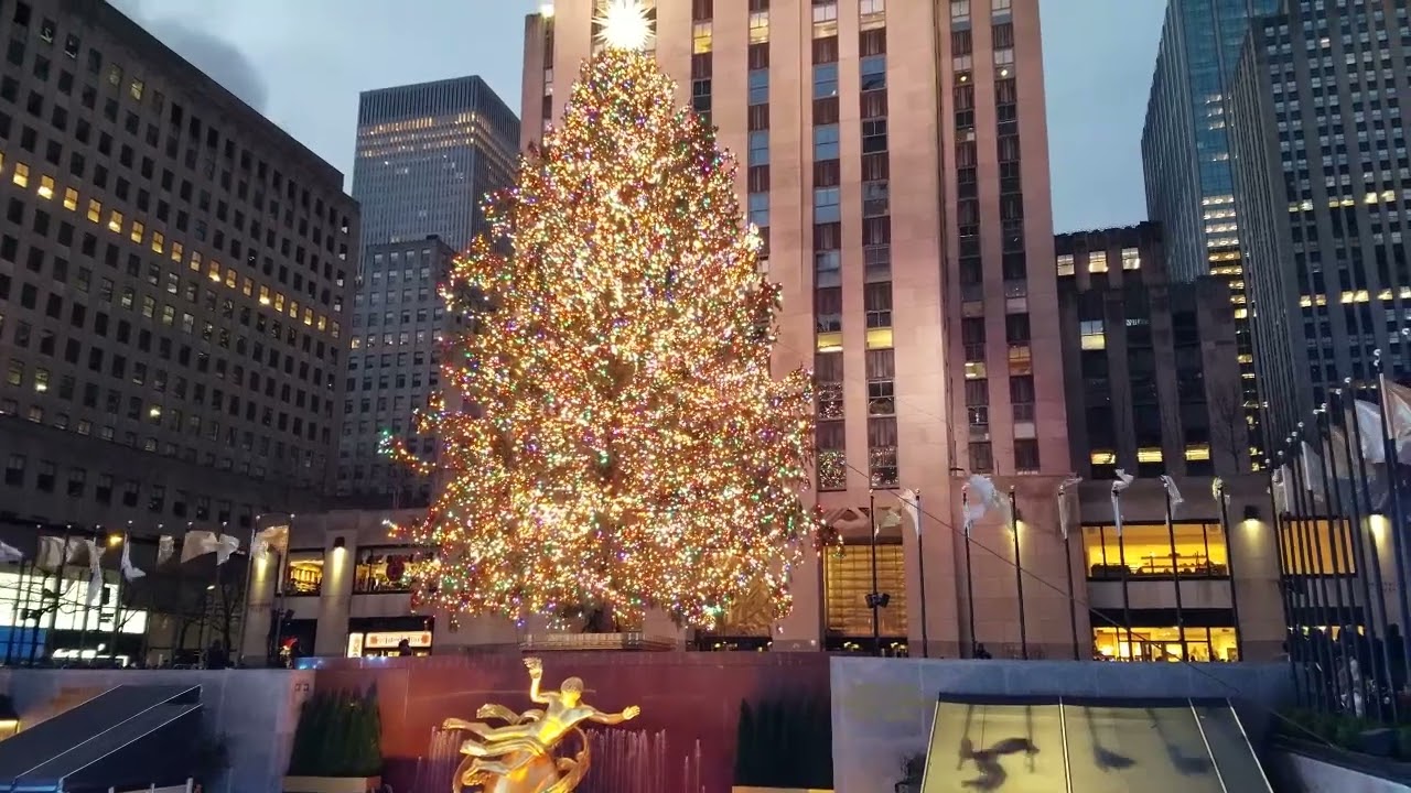 Christmas in New York: The Tree!!!