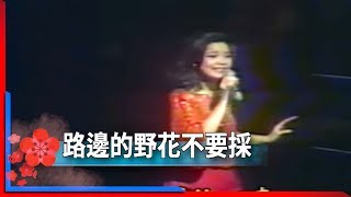 Video thumbnail of "1981君在前哨-鄧麗君-路邊的野花不要採 Teresa Teng テレサ・テン"