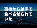 きれいな食器に盛り付けて机に並べたら、涙が止まらない