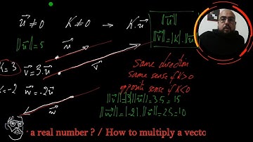 How to multiply a vector by a real number ? | Vectors | Pros-tutor