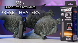 Simple, Compact, & UNBREAKABLE Aquarium Heaters! Sicce Jolly Preset Heaters