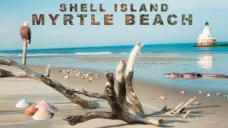 Shell Island George town  Myrtle Beach || Must see place near Myrtle Beach