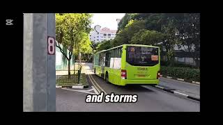 Moving Forward Together With Sbs Transit 