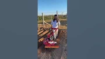 Multi-function micro-tillage machine Zongshen power micro-tillage machine Ditching machine🥶#shorts