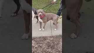 Lolas Father She Looks Just Like Him What Do You Think?