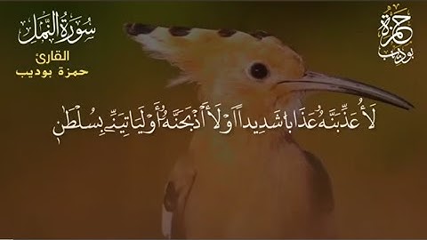 سورة النمل القارئ حمزة بوديب