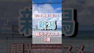 【新潟】安い！綺麗！旨い！新潟県のオススメ観光スポット5選#新潟観光 #新潟グルメ #海鮮拍賣 #日本酒 #酒 #滝 #日本庭園 #駅 #旅行 #グルメ #ジブリ