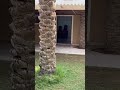 تيك توك تيكتوك ضحك  مقاطع راحة نفسية     5