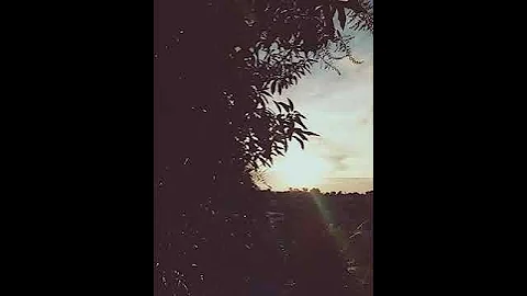 vn editor tutorial sunset