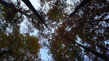 M2127399 Foolography Holy grail unedited