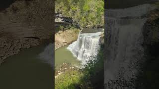 👑 THE QUEEN 👑 #waterfall #tennessee #hiking #nature #waterfallwednesday