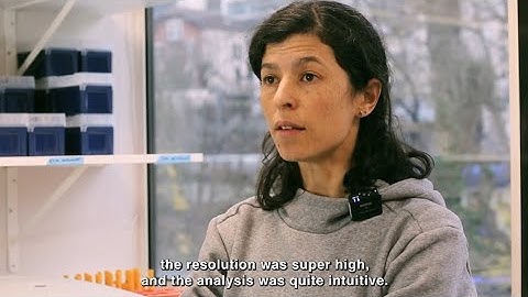 Zelia Gouveia, Head of Process Dev. of Cell-based Tx at CellAction, gives feedback on Nio® dPCR