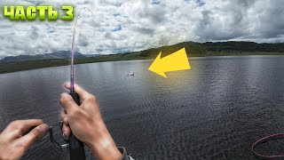 ЭТОТ ВОБЛЕР НЕ ДАЕТ ШАНСОВ ДИКОЙ ФОРЕЛИ ! Рыбалка в горах Алтая Ч.3