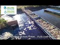 Municipal sewage treatment plant, how to improve it cheaply?